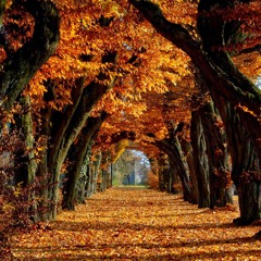 Fall 2016 Mixes