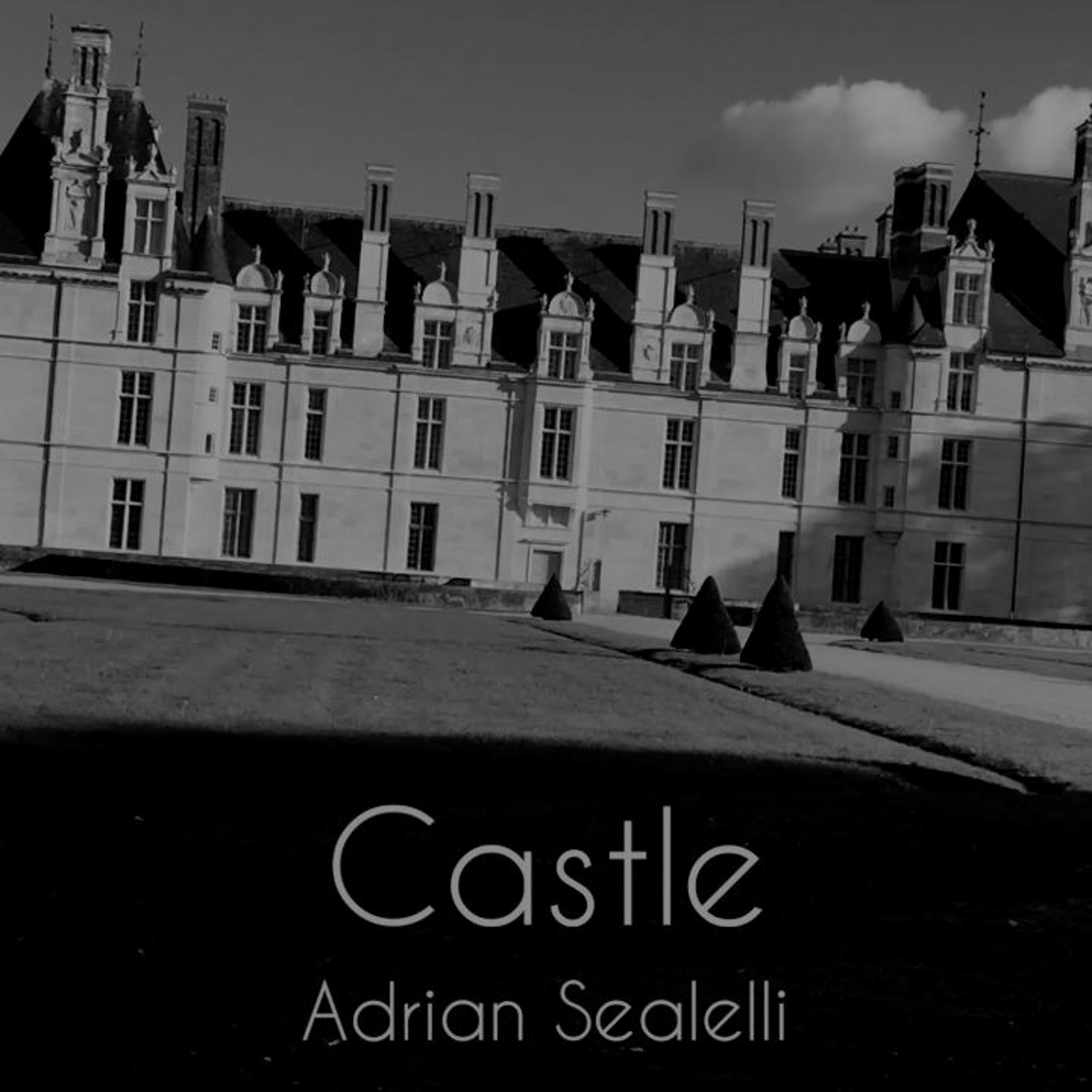 Adrian Sealelli