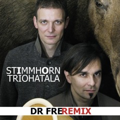 Stimmhorn - Triohatala - Dr Fre Remix