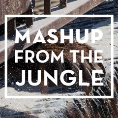 Mashup From The Jungle Vol.1 [ALBUM FREE DOWNLOAD]
