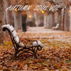 AUTUMN SOUL VOL 2