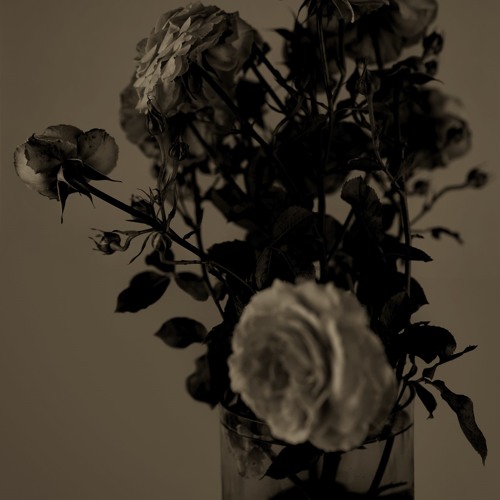 blackbear - spent all my møney øn rick øwens cargø pants ft mød sun (s_rød remix)