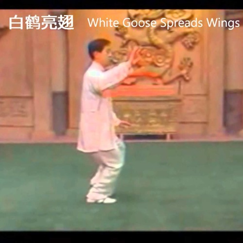 Chen Style Tai Chi 18 Form With Chinese And English Step Names By Jimdo