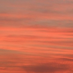 Boards of Canada and The Being over the Years