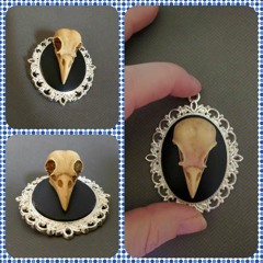 Unhinged [preview cut] (Cello Sears)