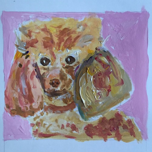 Small Dogs