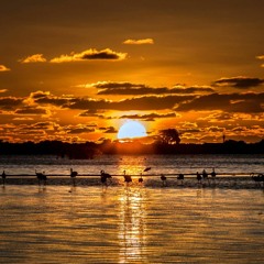 Jerk House Connection Feat Akram Each And Every Day Neuvikal Soule's Deeper Mix