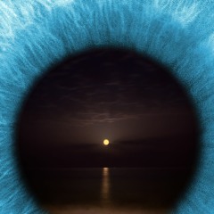 A Journey Around A Pumpkin Moon