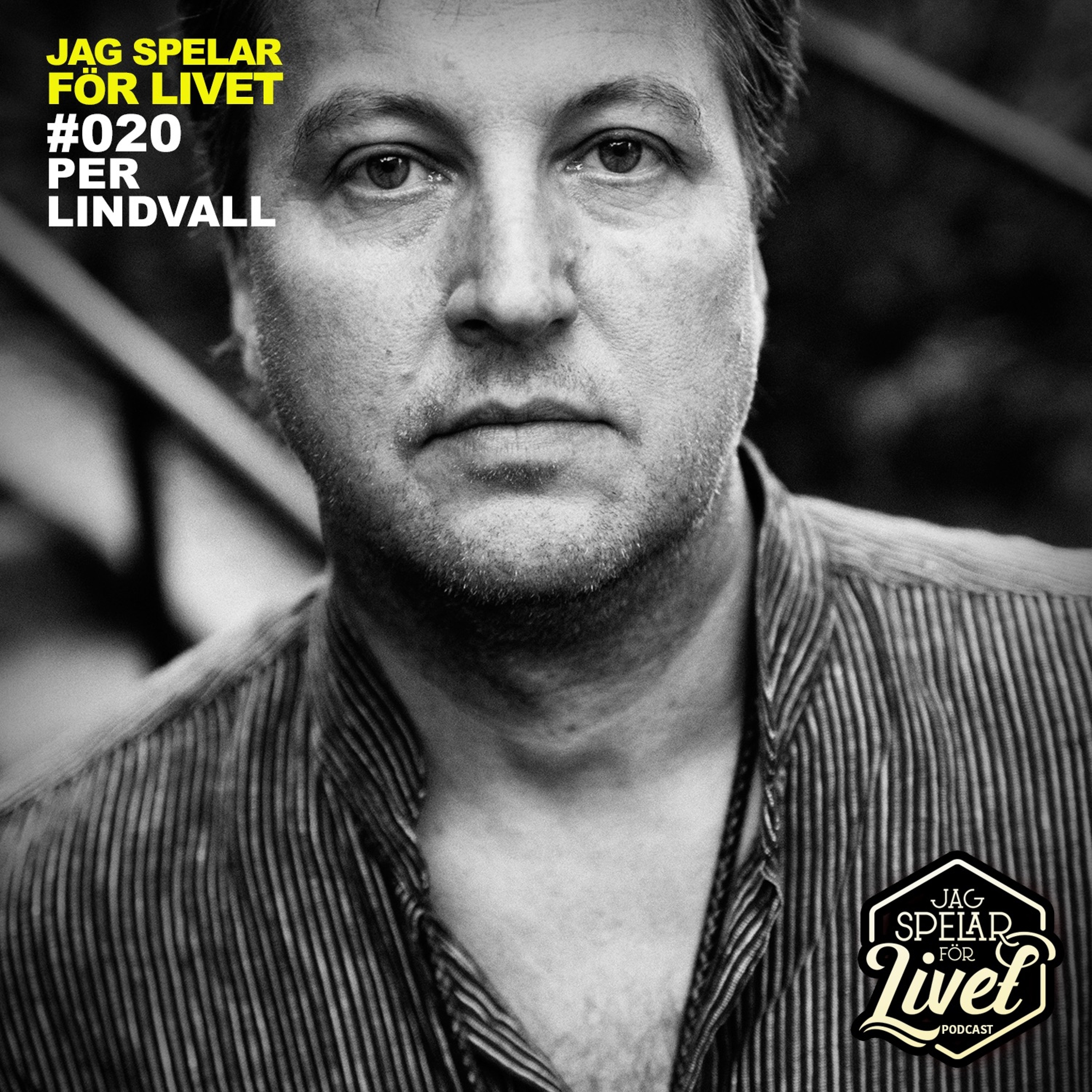 Jag Spelar för Livet - Musiker om Musik