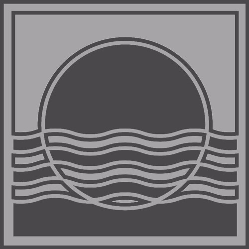 SVNSET WAVES