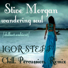Stive Morgan - wandering soul ( IGOR STEFF Chill. Percussion. Remix)