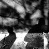 The Top - Dhatasix and Unidentified Man Collaboration