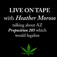 Conversation with Heather Moroso about AZ Proposition 205!