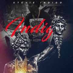 Stevie Indigo -Indigo