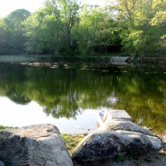 End of Life Issues, Week 4: Communication and Choices - Maurer