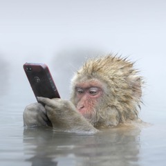 Aftermath - Prod. lab_