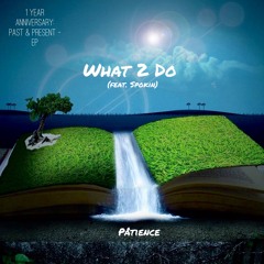 What 2 Do (feat. Spokin)