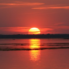 Jinsang - Evening.