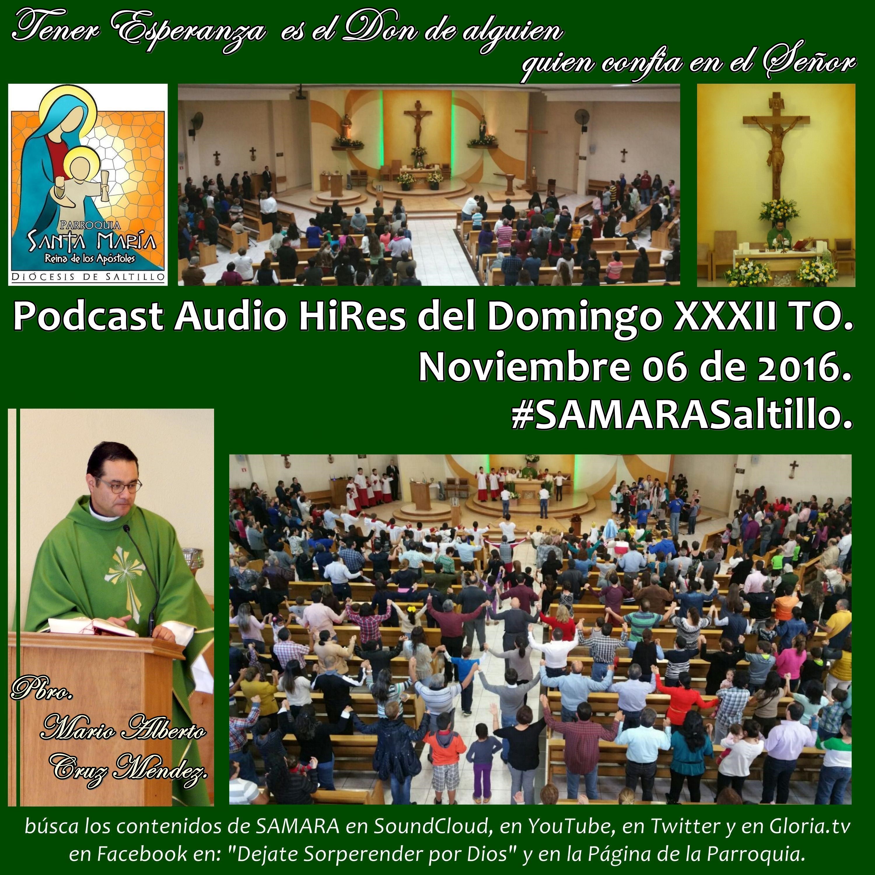 SAMARA_Saltillo #2019