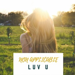 Non Applicable - Luv U (Original Mix)