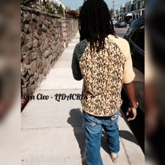 DON CLEO - LUDACRIS
