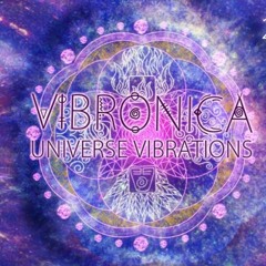 Vibronica festival MIX 2015