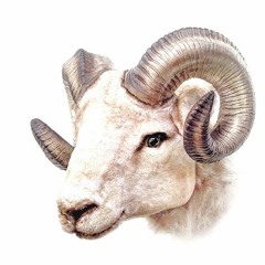 WarBaby Mojoh - Myself (Prod. Euro$)