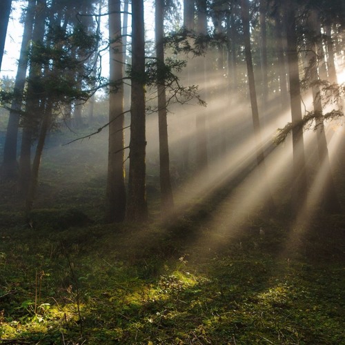 Axol x Alex Skrindo - You #Electronic