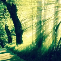 Nu Slukker Far Lyset