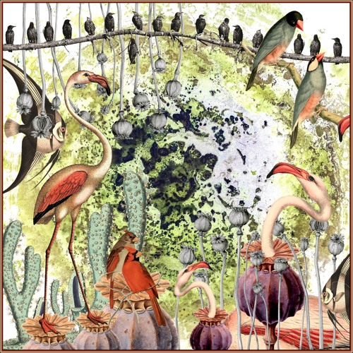 Armando Letico — A Sailor's Odyssey