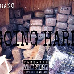 FLYGANG x "GOING HARD"