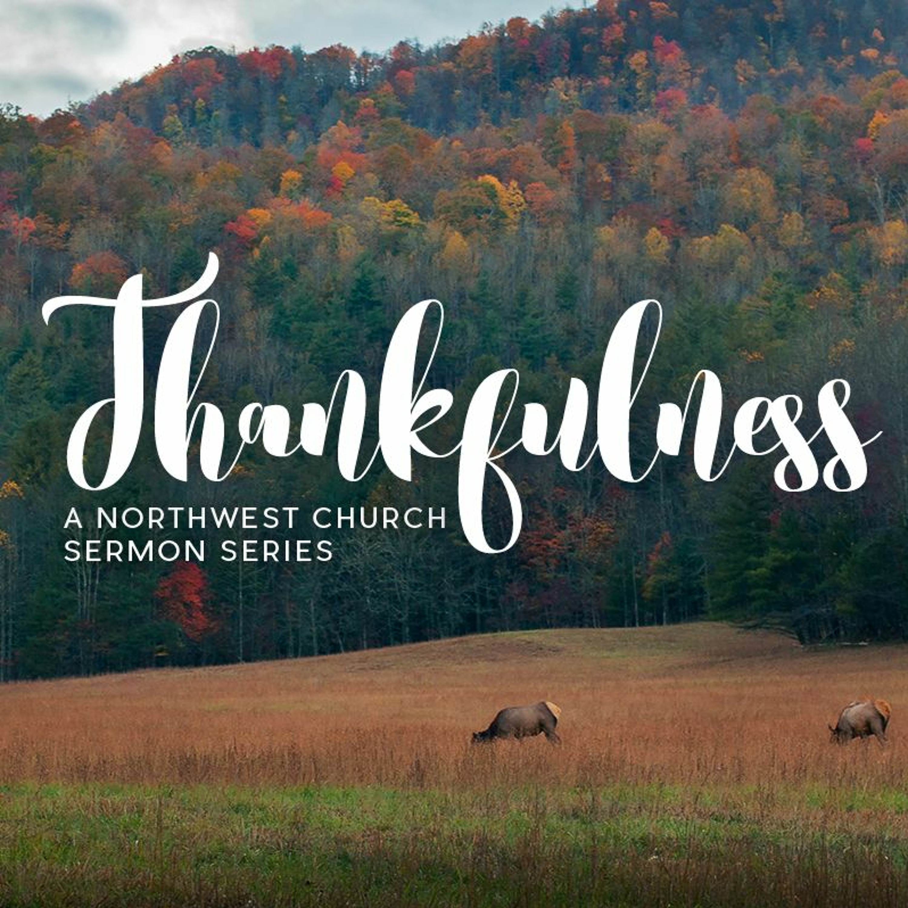 The Thankfulness Advantage - Ps. Mark Evans episode artwork
