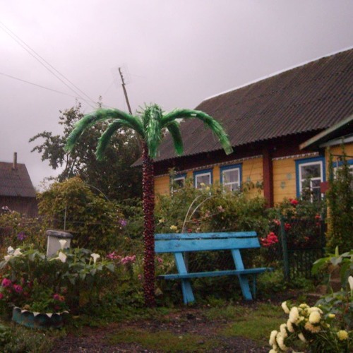 Kryŭja ain't Jamaica