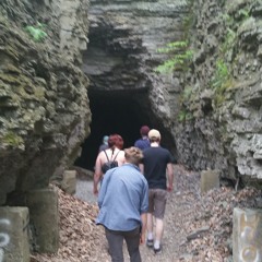 I saw the wolf by Tigers Jaw (cover)