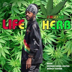 I Wayne - Life Herb