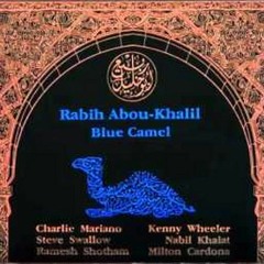 Rabih Abou Khalil - Sahara