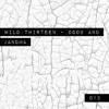 Wild.Thirteen I013I Doob & Janoma DJ mix artwork - Electronic music tracklist cover image