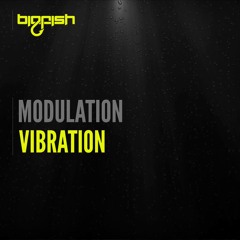 Modulation - Vibration (Original Mix)