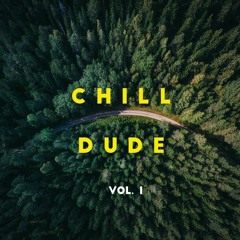 Chill Dude Vol 1