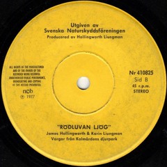 Joergmueller & D Diggler Läser Sagor Med Svenska Naturskyddsföreningen - Little Princess / Kwun Tong