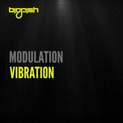 Modulation - Vibration (Original Mix) Out Now!