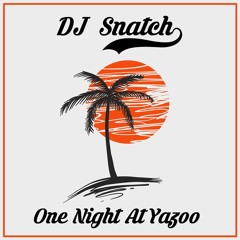 DJ Snatch - One Night At Yazoo