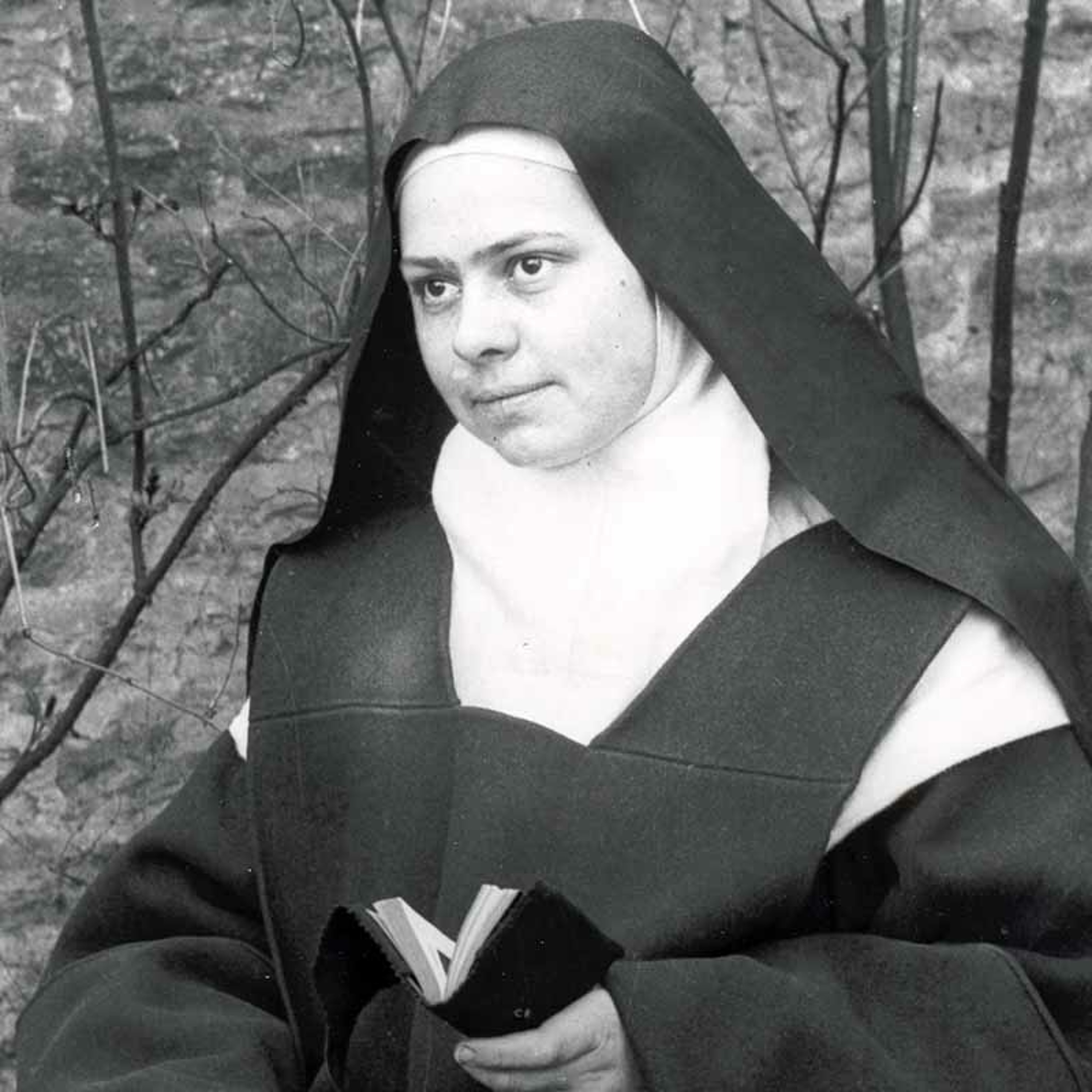 Homilia Diária (1-500)