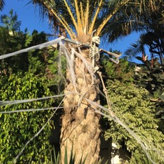 Christian Drost - Last Night In Eivissa