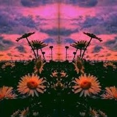 Flowers•Prod. by Seneca B•