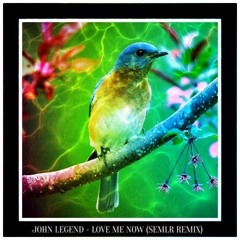 John Legend - Love Me Now (SEMLR Remix)
