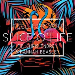 Feel For You (ft. Chris Endrey & Hannah Beasley)