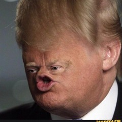 Donald Trump - Turn Off The Lights (remix)