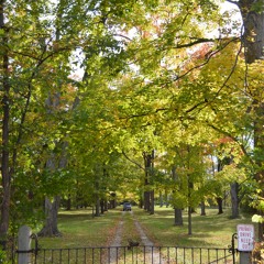 Butch Clancy - Lonely