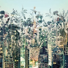 Chant of the Urban Jungle